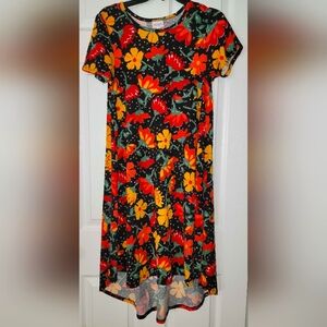 LulaRoe XS High Low Dress